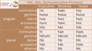 Lingua Loops Latin Conjugation And Declension Songs